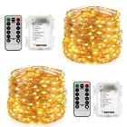 St10ww-2 Wertioo Battery Operated String Lights With Remote Control Led Of