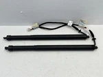15 16 17 Land Rover Discovery Sport Left & Right Trunk Shock Strut Set 1491 Oem. Fixed Price $125.99.