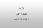 Havis Pkg Hcs Ut 301 Cup Holder Cradle For 7 9 Devic. Fixed Price $58.59.