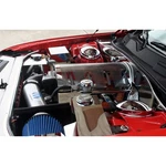 Plenum Cover 2008-2011 Dodge Challenger SRT8 Stainless Steel/perforated. Fixed Price $309.54.
