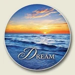 Ocean "dream" Absorbent Stone Coaster For Car Cup Holder CC-172. Fixed Price $8.99.