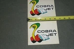 Nos Cobra Jet Decals 1971 1972 1973 Ford Mustang Mach 351 429 Cj. Fixed Price $29.99.