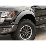 Lower Front Bumper Grilles 2010-14 Ford F-150 Svt Raptor Stainless/brushed. Fixed Price $167.95.