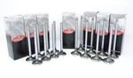 78 79 80 81 82 83 84 85 86 Ford Car 302 5.0L V8 - Intake & Exhaust Valves. Fixed Price $80.00.